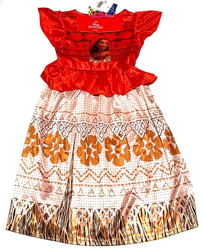 Costume disney principessa - costume,