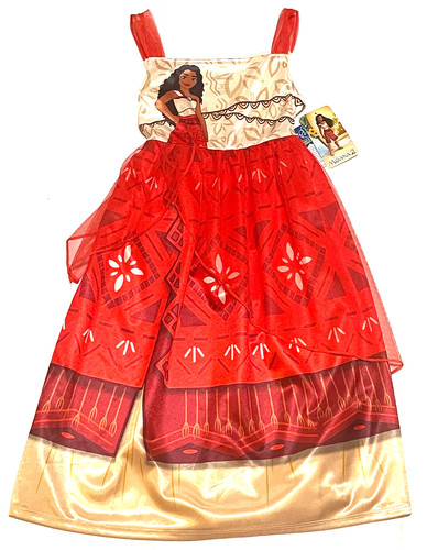 Costume disney principessa - costume,